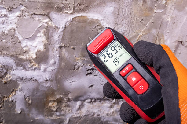 Best Toxic Mold Removal  in Sumner, IA