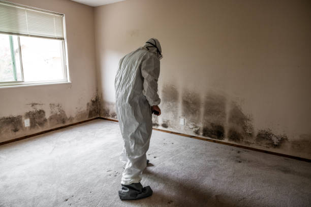 Best Crawl Space Mold Removal  in Sumner, IA